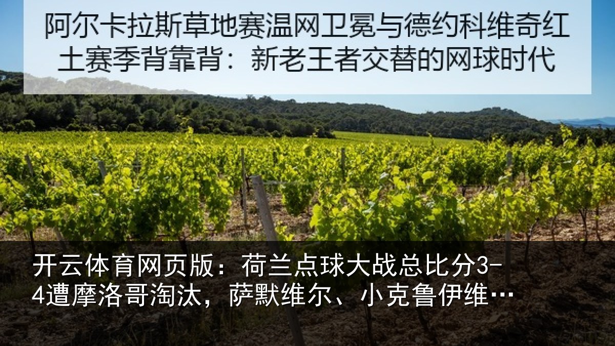 开云体育网页版：荷兰点球大战总比分3-4遭摩洛哥淘汰，萨默维尔、小克鲁伊维特丢点